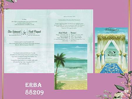 ERBA 88209