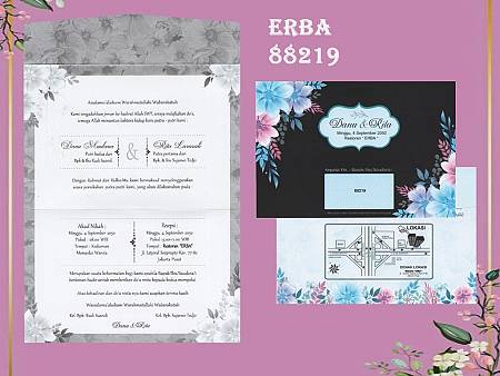 ERBA 88219