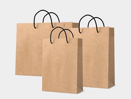 TAS PAPERBAG